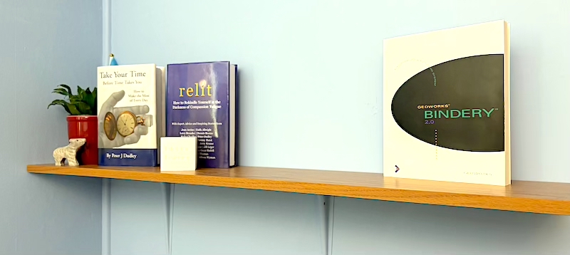 A bookshelf with the Geoworks Bindery manual and hardcover copies of RELIT and Take Your Time Before Time Takes You, as well as a small plant in a red vase and the Gray Bear figurine.