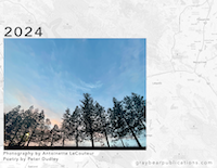 The 2024 calendar cover. A photo of trees against a blue-and-pink sky at twilight
