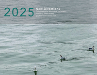 The cover of the 2025 calendar. Three birds floating in the water, each looking a different direction.