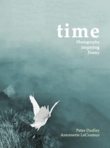 Cover reveal. The cover of the new book, "time," with a crane taking flight from the lower left corner from the reeds in a riverbed.