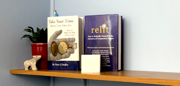 The books "Take Your Time" and "RELIT" on a wooden shelf next to a small plant, with my gray bear figurine and a white cube saying "Lifetime Learning" on it in front