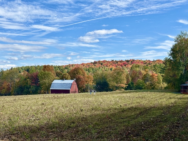 An open field with a big red barn at the back of it, with a broad hillside of trees in greens, yellows, oranges, reds, and browns