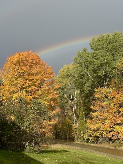 A bright rainbow above colorful trees and a dirt road